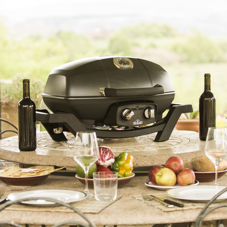 Napoleon portable 2024 gas grill